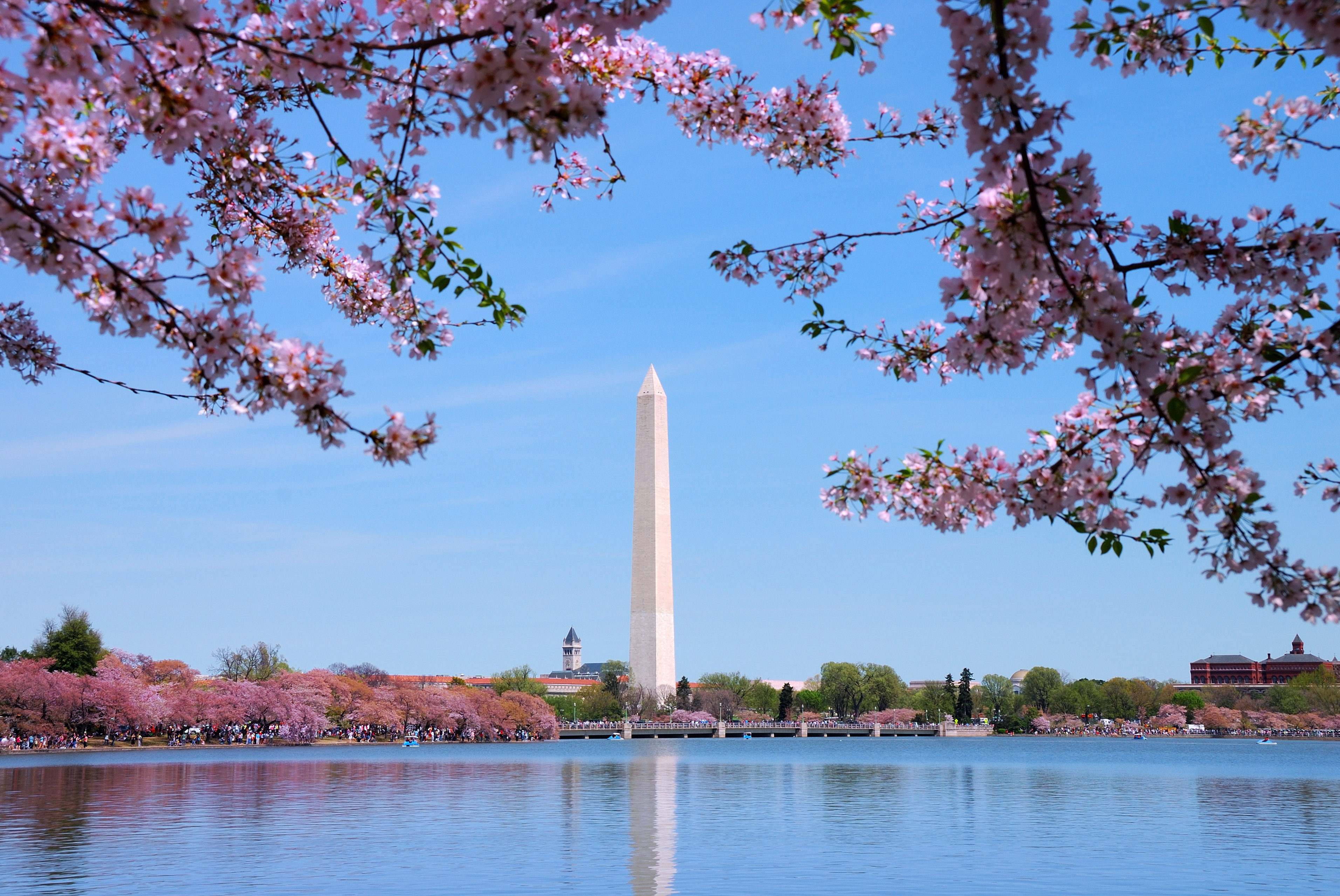 DC